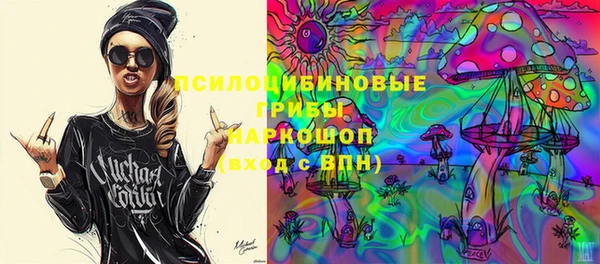 эйфоретик Арсеньев