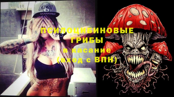 эйфоретик Арсеньев